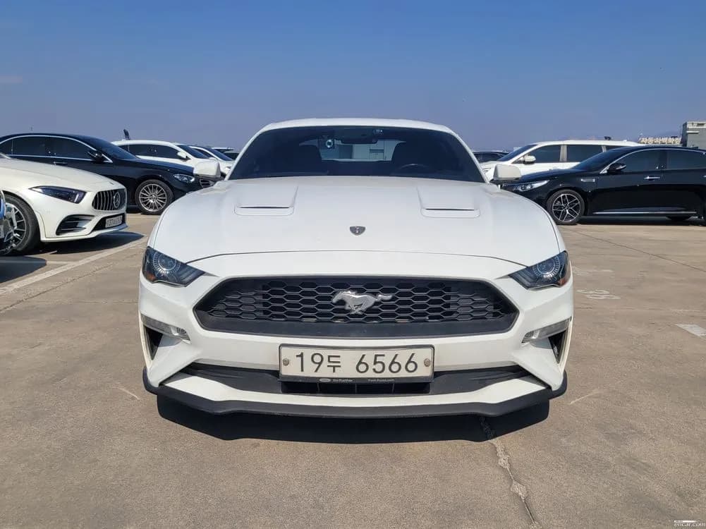 2019 Ford Mustang Coupe Sold VIN 1FA6P8TH7K5165660 – interior seats