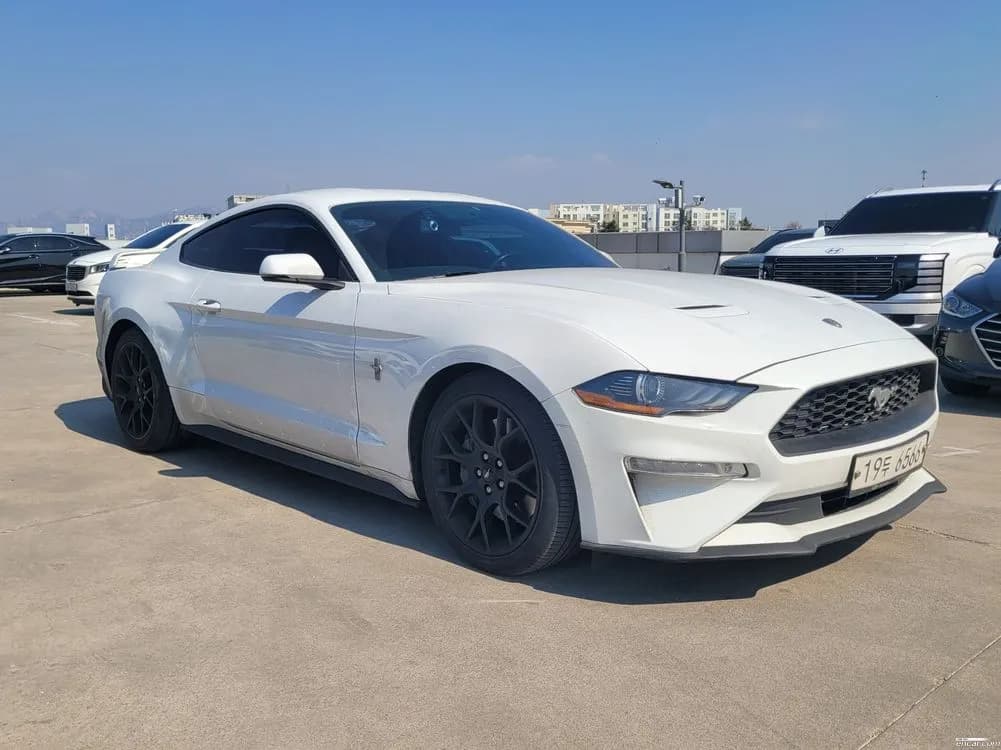 2019 Ford Mustang Coupe Sold VIN 1FA6P8TH7K5165660 – rear exterior