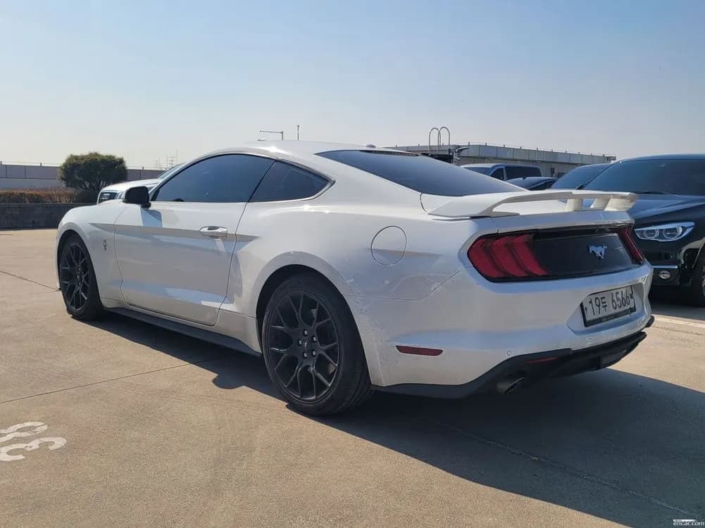 2019 Ford Mustang Coupe Sold VIN 1FA6P8TH7K5165660 – side profile