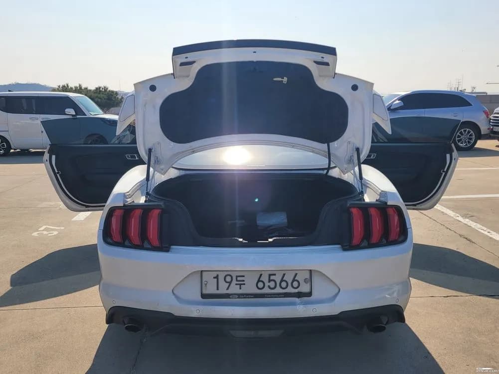 2019 Ford Mustang Coupe Sold VIN 1FA6P8TH7K5165660 – trunk area