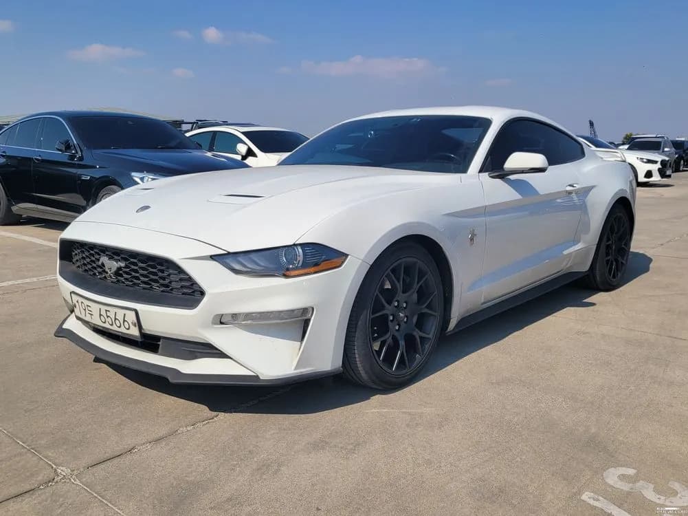 2019 Ford Mustang Coupe Sold VIN 1FA6P8TH7K5165660 – front exterior