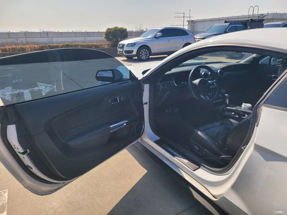 2019 Ford Mustang Coupe Sold VIN 1FA6P8TH7K5165660 – exterior detail