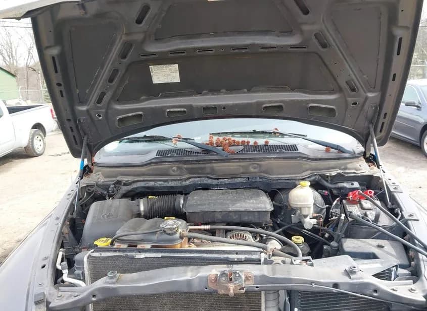 2003 DODGE Ram Used VIN 1D7HU18NX3J593660 – exterior detail 2003 DODGE Ram Used VIN 1D7HU18NX3J593660 – exterior detail