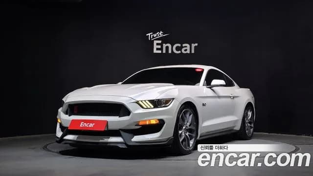 2017 Ford Mustang GT Coupe Sold VIN 1FA6P8CF0H5201633 – exterior detail 2017 Ford Mustang GT Coupe Sold VIN 1FA6P8CF0H5201633 – exterior detail