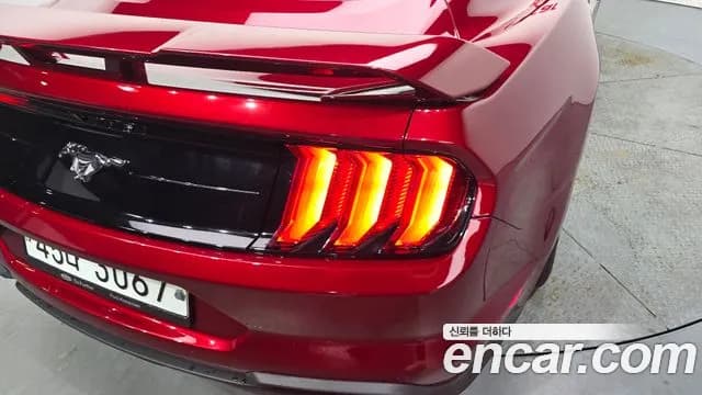 2019 Ford Mustang Coupe Sold VIN 1FA6P8TH2K5146322 – photo 20 2019 Ford Mustang Coupe Sold VIN 1FA6P8TH2K5146322 – photo 20