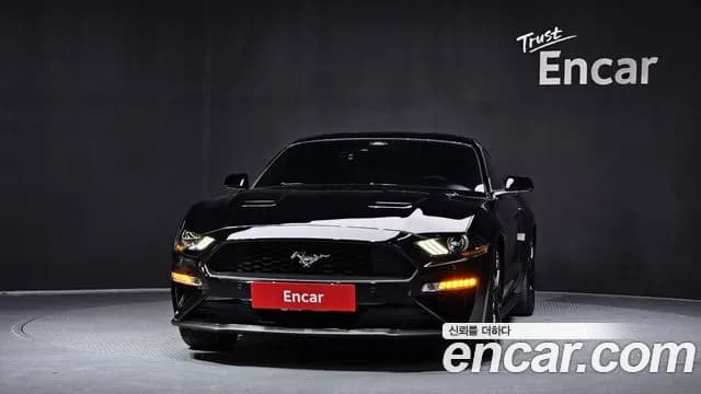 2019 Ford Mustang Coupe Sold VIN 1FA6P8TH5K5190699 – rear exterior 2019 Ford Mustang Coupe Sold VIN 1FA6P8TH5K5190699 – rear exterior