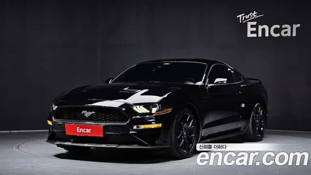 2019 Ford Mustang Coupe Sold VIN 1FA6P8TH5K5190699 – undercarriage 2019 Ford Mustang Coupe Sold VIN 1FA6P8TH5K5190699 – undercarriage