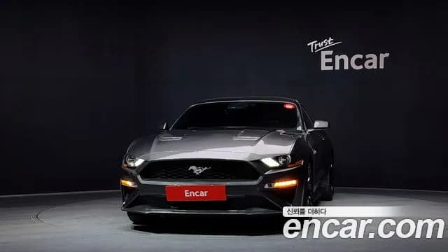 2019 Ford Mustang Coupe Sold VIN 1FA6P8TH9K5126391 – side profile 2019 Ford Mustang Coupe Sold VIN 1FA6P8TH9K5126391 – side profile