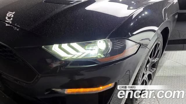 2021 Ford Mustang Coupe Sold VIN 1FA6P8THXM5142327 – photo 14 2021 Ford Mustang Coupe Sold VIN 1FA6P8THXM5142327 – photo 14