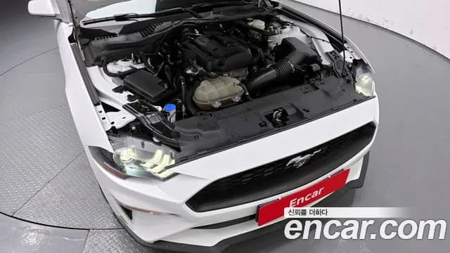 2021 Ford Mustang Convertible Sold VIN 1FATP8UH8M5124507 – side profile 2021 Ford Mustang Convertible Sold VIN 1FATP8UH8M5124507 – side profile