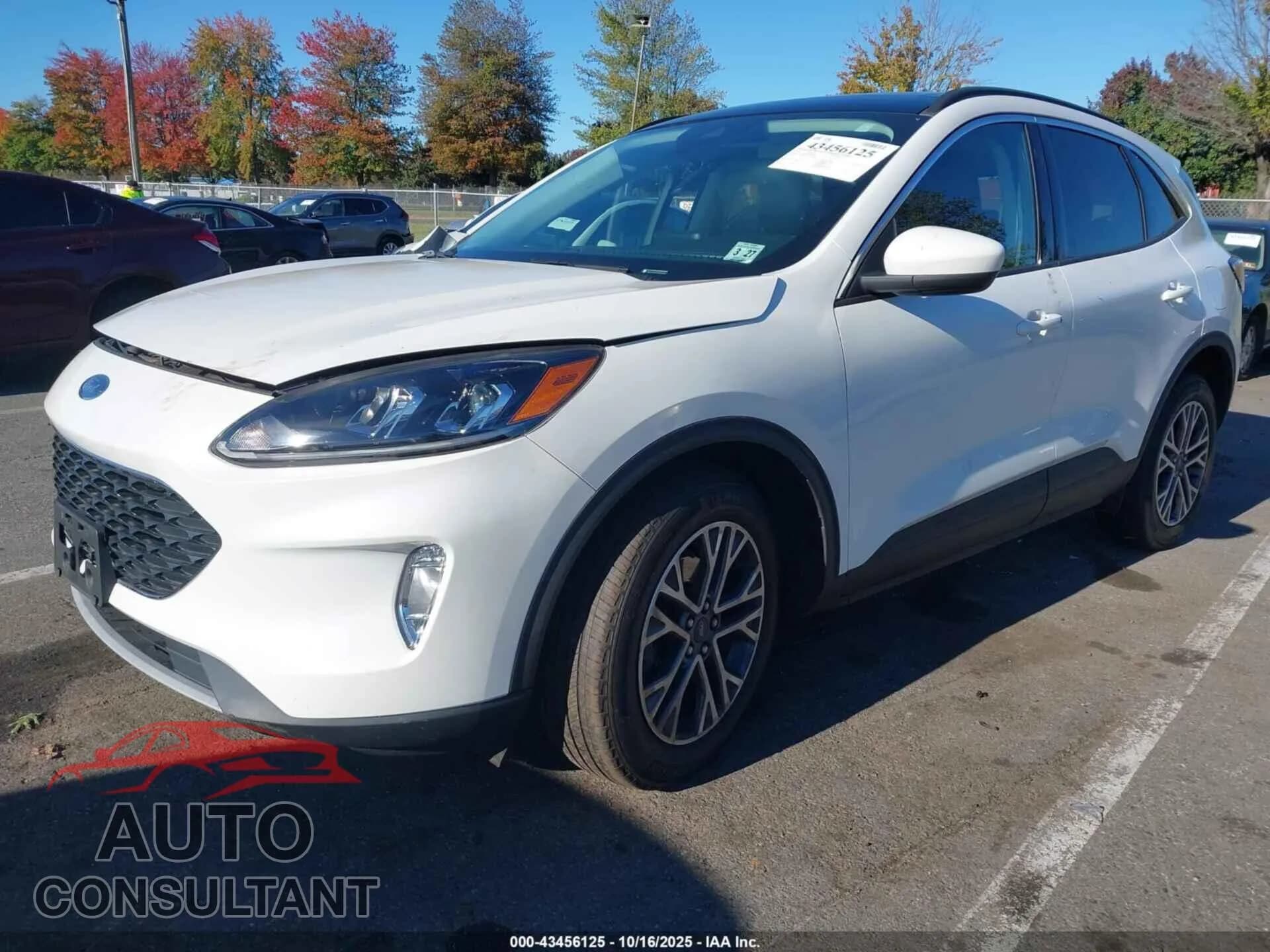 2021 FORD ESCAPE Damaged VIN 1FMCU9H6XMUB34460 – rear exterior 2021 FORD ESCAPE Damaged VIN 1FMCU9H6XMUB34460 – rear exterior