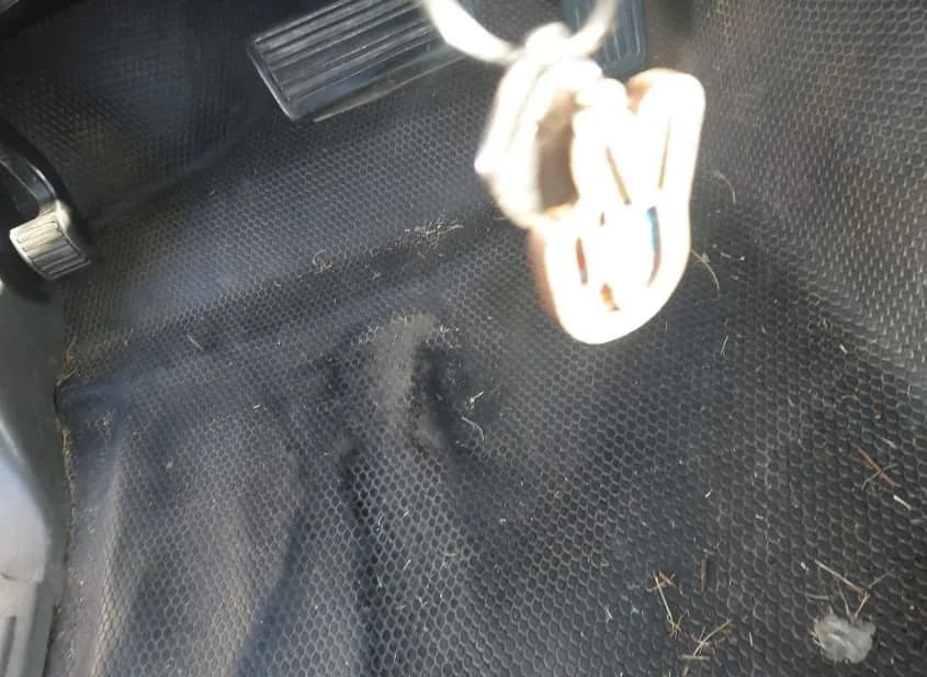 2005 GMC Sierra Used VIN 1GTEC14X35Z121019 – engine bay 2005 GMC Sierra Used VIN 1GTEC14X35Z121019 – engine bay