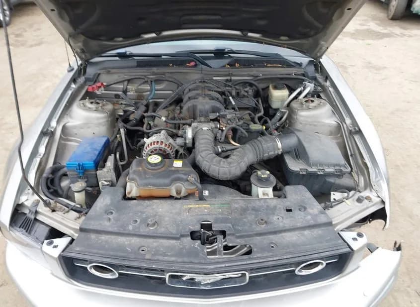 2008 FORD Mustang Used VIN 1ZVHT80N785102931 – photo 13 2008 FORD Mustang Used VIN 1ZVHT80N785102931 – photo 13