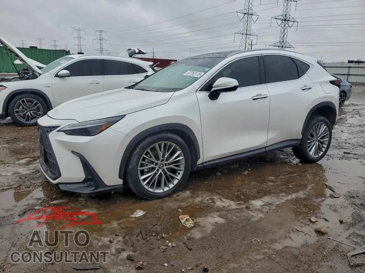 2024 LEXUS NX 350 LUX Damaged VIN 2T2HGCEZ7RC059004 – front exterior 2024 LEXUS NX 350 LUX Damaged VIN 2T2HGCEZ7RC059004 – front exterior