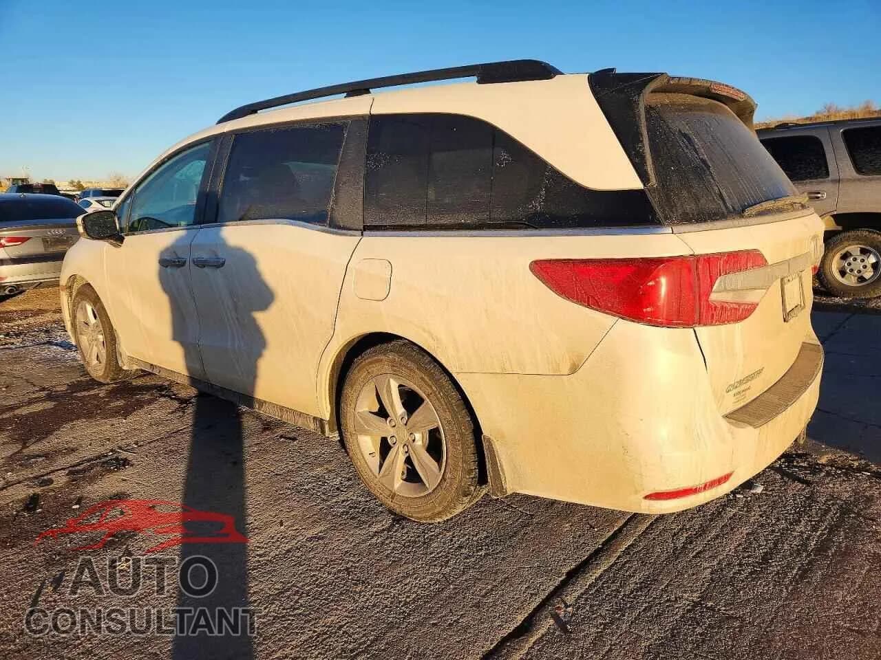 2019 HONDA All Models Damaged VIN 5FNRL6H7XKB007934 – rear exterior 2019 HONDA All Models Damaged VIN 5FNRL6H7XKB007934 – rear exterior