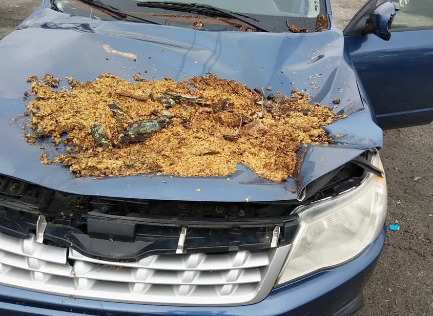 2012 SUBARU Forester Used VIN JF2SHADC8CH465239 – photo 12 2012 SUBARU Forester Used VIN JF2SHADC8CH465239 – photo 12