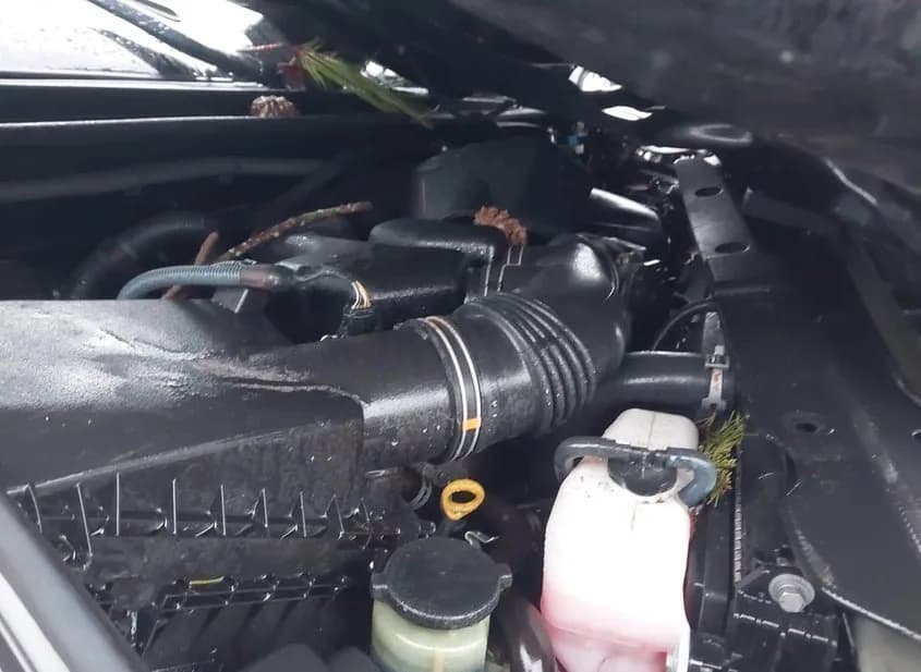 2014 TOYOTA 4Runner Used VIN JTEBU5JR6E5182901 – undercarriage 2014 TOYOTA 4Runner Used VIN JTEBU5JR6E5182901 – undercarriage