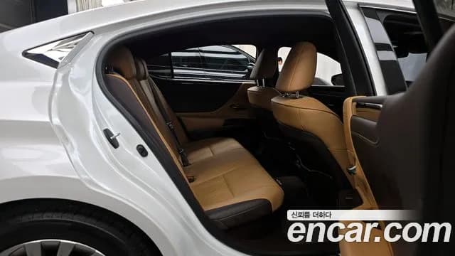 2020 Lexus ES300h 7th Gen Luxury Plus Sold VIN JTHB21B12L2109677 – exterior detail 2020 Lexus ES300h 7th Gen Luxury Plus Sold VIN JTHB21B12L2109677 – exterior detail