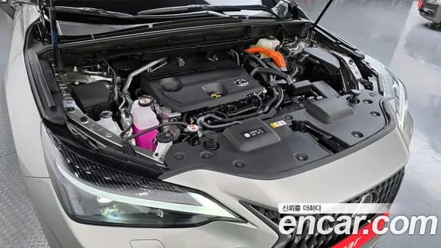 2025 Lexus NX350h 2nd Gen Premium Sold VIN JTJGKAEZ4S2061801 – rear exterior 2025 Lexus NX350h 2nd Gen Premium Sold VIN JTJGKAEZ4S2061801 – rear exterior