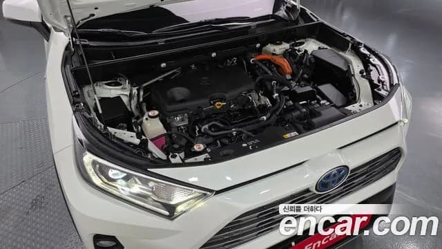 2019 Toyota RAV4 5th Gen 2.5 4WD Hybrid Sold VIN JTMDWRFV1KD029154 – rear exterior 2019 Toyota RAV4 5th Gen 2.5 4WD Hybrid Sold VIN JTMDWRFV1KD029154 – rear exterior
