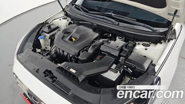 2019 Hyundai Sonata New Rise 2.0 Modern Sold VIN KMHE341CBKA555895 – trunk area 2019 Hyundai Sonata New Rise 2.0 Modern Sold VIN KMHE341CBKA555895 – trunk area