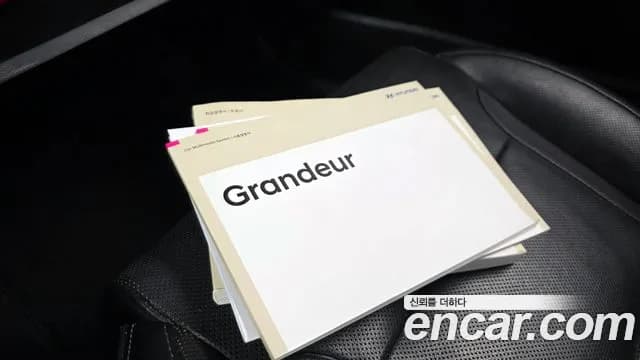 2019 Hyundai Grandeur IG 2.4 Premium Sold VIN KMHF141CBKA254549 – photo 24 2019 Hyundai Grandeur IG 2.4 Premium Sold VIN KMHF141CBKA254549 – photo 24
