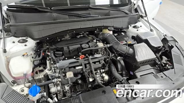 2025 Hyundai Kona (SX2) Gasoline 1.6 Turbo 2WD Sold VIN KMHHC813BSU296656 – rear exterior 2025 Hyundai Kona (SX2) Gasoline 1.6 Turbo 2WD Sold VIN KMHHC813BSU296656 – rear exterior