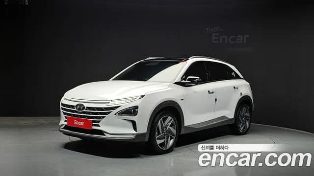2020 Hyundai Nexo Premium Sold VIN KMHJ8816FLU004599 – side profile 2020 Hyundai Nexo Premium Sold VIN KMHJ8816FLU004599 – side profile