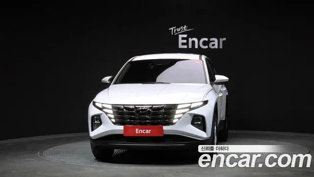 2021 Hyundai Tucson (NX4) Gasoline 1.6 Turbo 2WD Sold VIN KMHJB81BGMU062688 – exterior detail 2021 Hyundai Tucson (NX4) Gasoline 1.6 Turbo 2WD Sold VIN KMHJB81BGMU062688 – exterior detail