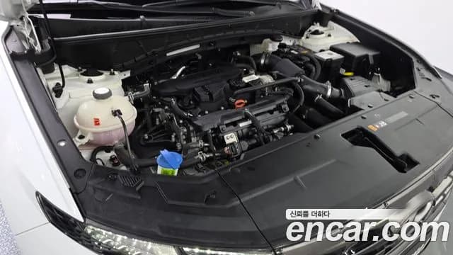 2021 Hyundai Tucson (NX4) Gasoline 1.6 Turbo 2WD Sold VIN KMHJC81BGMU031423 – exterior detail 2021 Hyundai Tucson (NX4) Gasoline 1.6 Turbo 2WD Sold VIN KMHJC81BGMU031423 – exterior detail