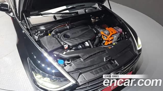 2023 Hyundai Sonata Hybrid (DN8) Premium Plus Sold VIN KMHL241JBPA063144 – rear exterior 2023 Hyundai Sonata Hybrid (DN8) Premium Plus Sold VIN KMHL241JBPA063144 – rear exterior