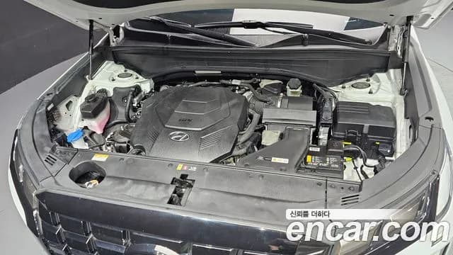 2023 Hyundai The New Palisade Gasoline 3.8 2WD Sold VIN KMHR381EBPU589091 – rear exterior 2023 Hyundai The New Palisade Gasoline 3.8 2WD Sold VIN KMHR381EBPU589091 – rear exterior
