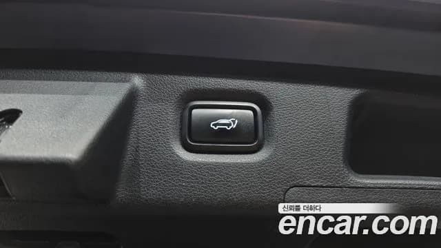 2020 Hyundai Santa Fe TM Gasoline 2.0T 2WD Sold VIN KMHS281ABLU245059 – exterior detail 2020 Hyundai Santa Fe TM Gasoline 2.0T 2WD Sold VIN KMHS281ABLU245059 – exterior detail