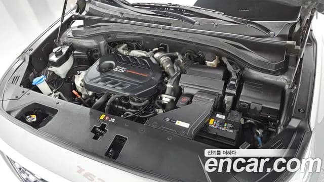 2020 Hyundai Santa Fe TM Gasoline 2.0T 2WD Sold VIN KMHS281ABLU297662 – side profile 2020 Hyundai Santa Fe TM Gasoline 2.0T 2WD Sold VIN KMHS281ABLU297662 – side profile
