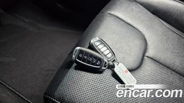 2020 Hyundai Santa Fe TM Diesel 2.0 2WD Sold VIN KMHS281BBLU239036 – front exterior 2020 Hyundai Santa Fe TM Diesel 2.0 2WD Sold VIN KMHS281BBLU239036 – front exterior