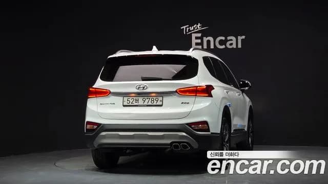 2019 Hyundai Santa Fe TM Diesel 2.0 2WD Sold VIN KMHS381BBKU146452 – exterior detail 2019 Hyundai Santa Fe TM Diesel 2.0 2WD Sold VIN KMHS381BBKU146452 – exterior detail
