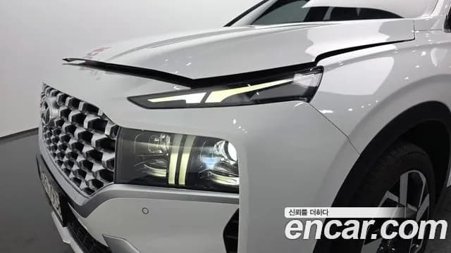2021 Hyundai The New Santa Fe Gasoline 2.5T 2WD Sold VIN KMHS381LGMU377617 – side profile 2021 Hyundai The New Santa Fe Gasoline 2.5T 2WD Sold VIN KMHS381LGMU377617 – side profile