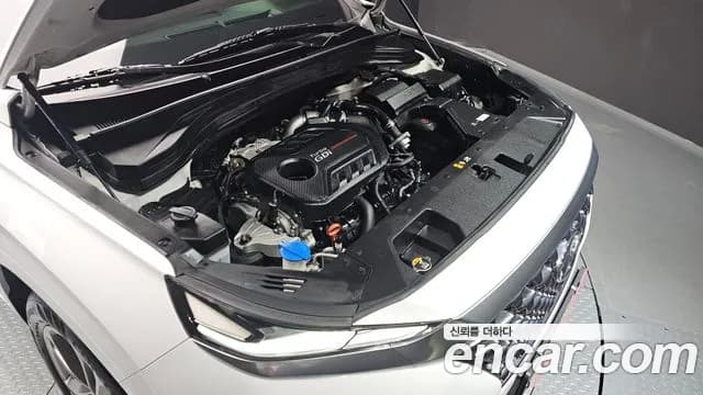 2020 Hyundai Santa Fe TM Gasoline 2.0T 2WD Sold VIN KMHS581ABLU207998 – exterior detail 2020 Hyundai Santa Fe TM Gasoline 2.0T 2WD Sold VIN KMHS581ABLU207998 – exterior detail