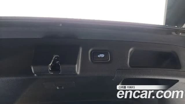 2020 Hyundai Santa Fe TM Gasoline 2.0T 4WD Sold VIN KMHS581ADLU193296 – exterior detail 2020 Hyundai Santa Fe TM Gasoline 2.0T 4WD Sold VIN KMHS581ADLU193296 – exterior detail