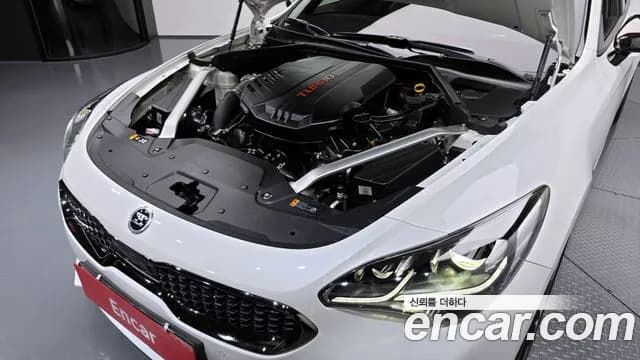 2020 Kia Stinger 3.3 Turbo AWD Sold VIN KNAE751CDLS082020 – photo 13 2020 Kia Stinger 3.3 Turbo AWD Sold VIN KNAE751CDLS082020 – photo 13