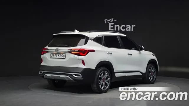 2020 Kia Seltos Diesel 1.6 2WD Sold VIN KNAES815GLK036580 – rear exterior 2020 Kia Seltos Diesel 1.6 2WD Sold VIN KNAES815GLK036580 – rear exterior