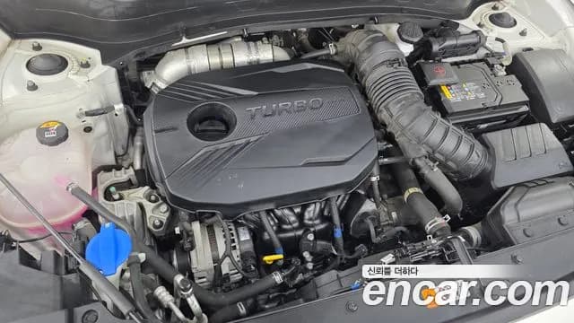 2023 Kia Seltos Gasoline 1.6 Turbo 2WD Sold VIN KNAET812GPK345644 – rear exterior 2023 Kia Seltos Gasoline 1.6 Turbo 2WD Sold VIN KNAET812GPK345644 – rear exterior