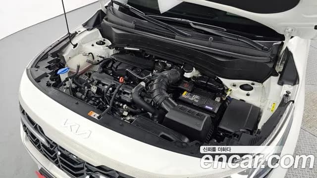 2023 Kia The New Seltos Gasoline 1.6 Turbo 2WD Sold VIN KNAET817BPK373312 – trunk area 2023 Kia The New Seltos Gasoline 1.6 Turbo 2WD Sold VIN KNAET817BPK373312 – trunk area