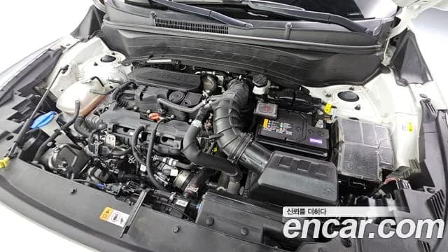 2023 Kia The New Seltos Gasoline 1.6 Turbo 2WD Sold VIN KNAET817BPK381544 – rear exterior 2023 Kia The New Seltos Gasoline 1.6 Turbo 2WD Sold VIN KNAET817BPK381544 – rear exterior