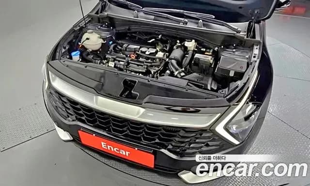 2023 Kia Sportage 5th Gen Gasoline 1.6 Turbo 2WD Sold VIN KNAPT81BGPK166737 – photo 15 2023 Kia Sportage 5th Gen Gasoline 1.6 Turbo 2WD Sold VIN KNAPT81BGPK166737 – photo 15