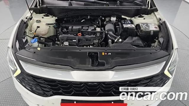 2022 Kia Sportage 5th Gen Gasoline 1.6 Turbo 2WD Sold VIN KNAPU81BGNK056609 – photo 16 2022 Kia Sportage 5th Gen Gasoline 1.6 Turbo 2WD Sold VIN KNAPU81BGNK056609 – photo 16