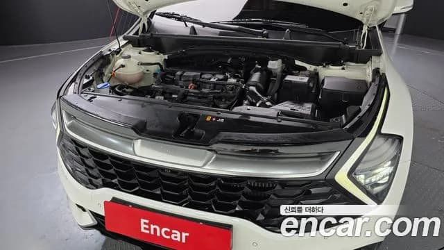 2023 Kia Sportage 5th Gen Gasoline 1.6 Turbo 2WD Sold VIN KNAPV81BGPK187906 – exterior detail 2023 Kia Sportage 5th Gen Gasoline 1.6 Turbo 2WD Sold VIN KNAPV81BGPK187906 – exterior detail