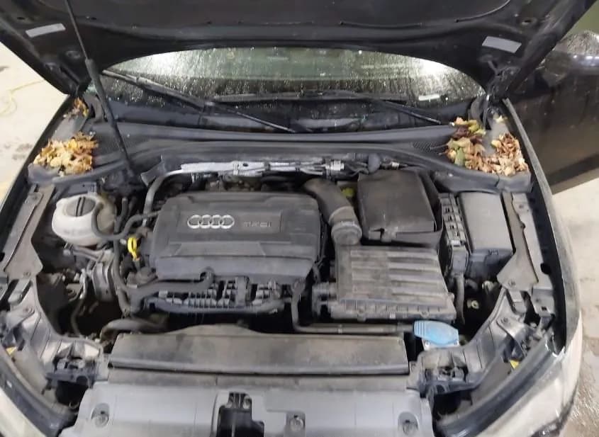 2016 AUDI A3 Used VIN WAUB8GFF0G1081380 – photo 16 2016 AUDI A3 Used VIN WAUB8GFF0G1081380 – photo 16