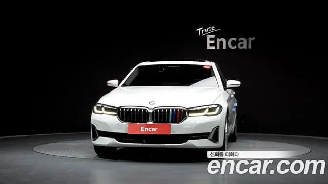 2021 BMW 5Series (G30) 520i Luxury Sold VIN WBA11BH00MCF81182 – exterior detail 2021 BMW 5Series (G30) 520i Luxury Sold VIN WBA11BH00MCF81182 – exterior detail