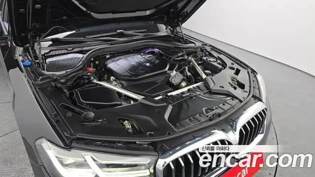 2021 BMW 5Series (G30) 523d xDrive Luxury Sold VIN WBA31ES06MWX00125 – photo 13 2021 BMW 5Series (G30) 523d xDrive Luxury Sold VIN WBA31ES06MWX00125 – photo 13